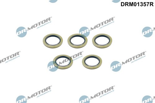 Motor automotive dichtring - dr.motor,
