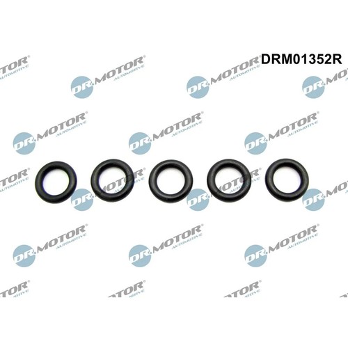 Motor automotive dichtring - dr.motor,