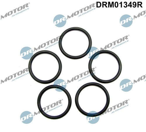 Motor automotive dichtring - dr.motor,