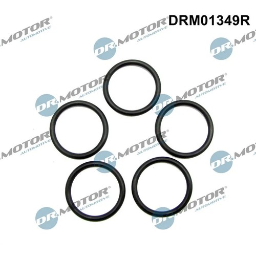 Motor automotive dichtring - dr.motor,