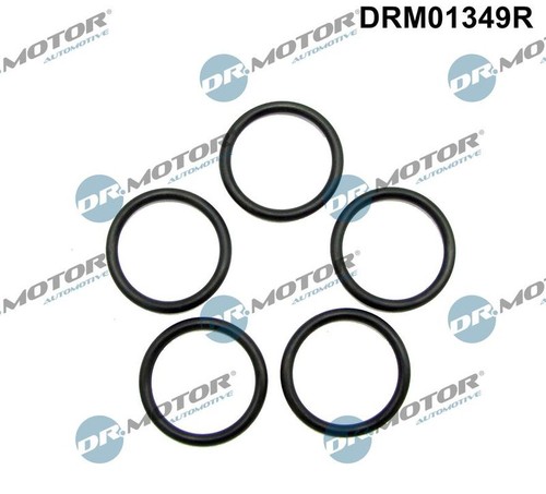 Motor automotive dichtring - dr.motor,