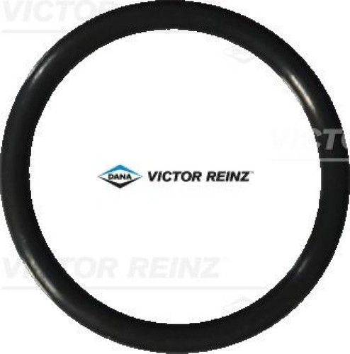 Victor reinz 76041 20 - victor, 40-76041-20